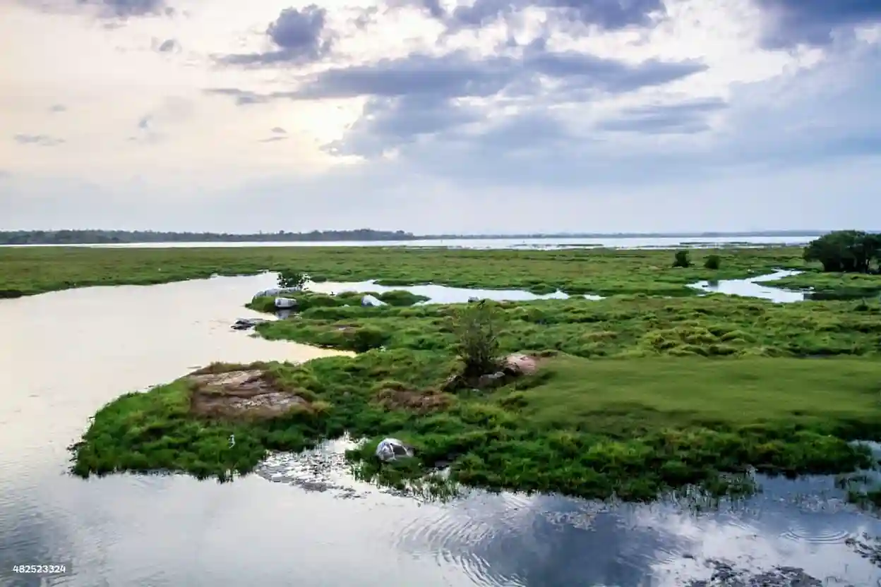 Puttalam Lagoon