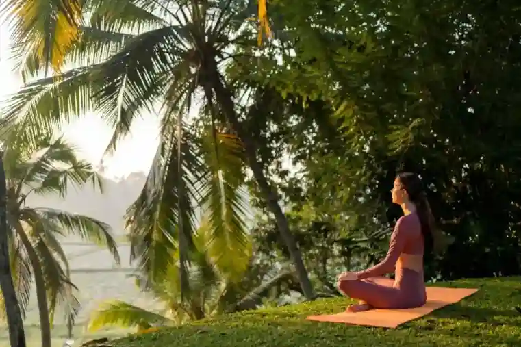 Yoga & Meditation